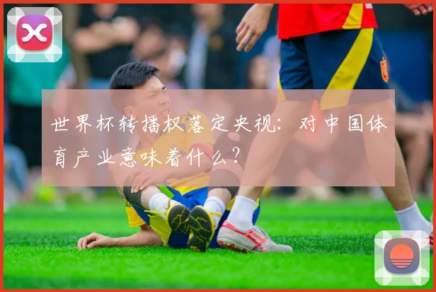 世界杯转播权落定央视：对中国体育产业意味着什么？