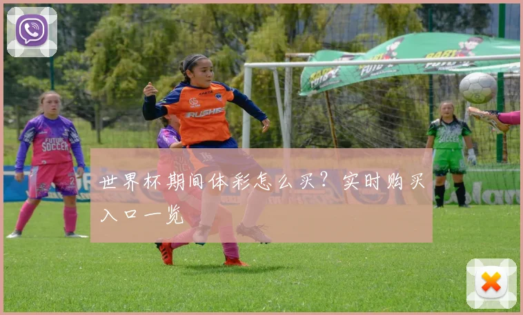世界杯期间体彩怎么买？实时购买入口一览