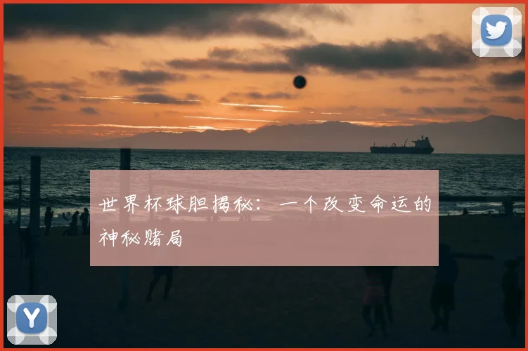 世界杯球胆揭秘:一个改变命运的神秘赌局