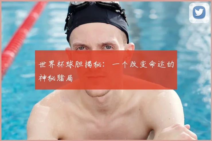 世界杯球胆揭秘:一个改变命运的神秘赌局