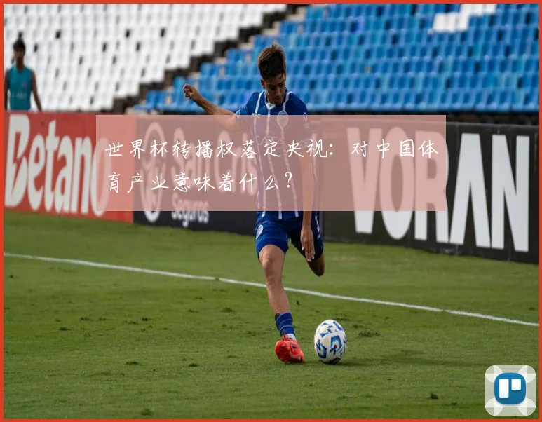 世界杯转播权落定央视：对中国体育产业意味着什么？
