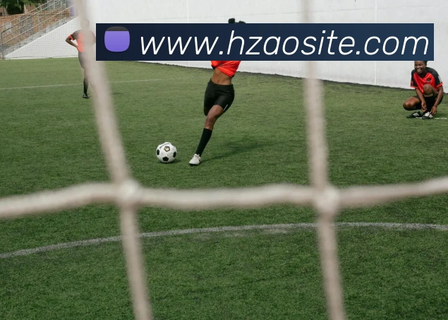 多媒体互动体验